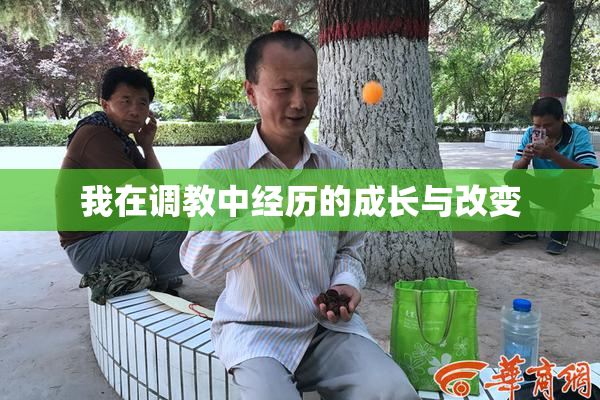 我在调教中经历的成长与改变