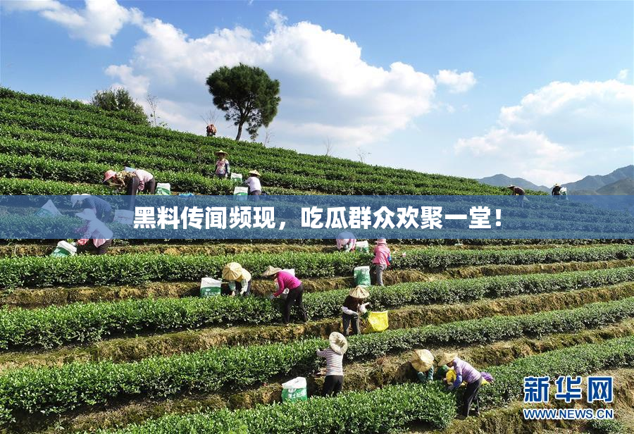 黑料传闻频现，吃瓜群众欢聚一堂！