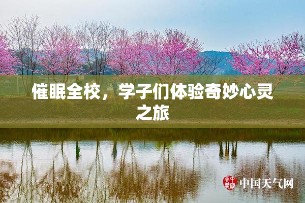 催眠全校，学子们体验奇妙心灵之旅