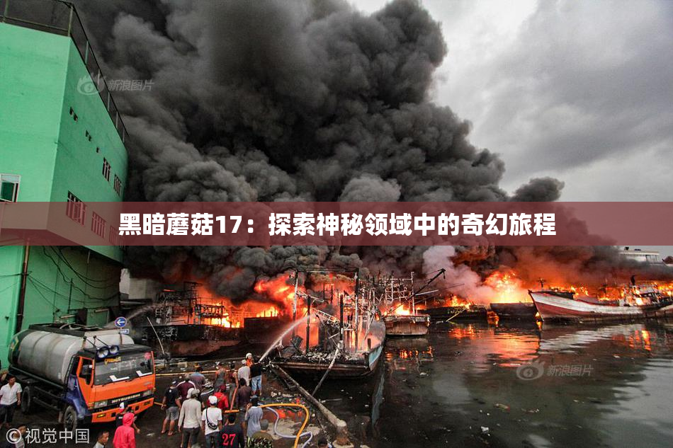 黑暗蘑菇17：探索神秘领域中的奇幻旅程