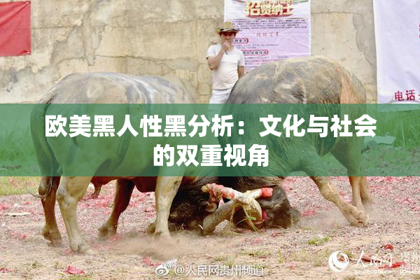 欧美黑人性黑分析：文化与社会的双重视角