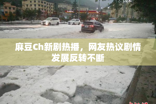 麻豆Ch新剧热播，网友热议剧情发展反转不断