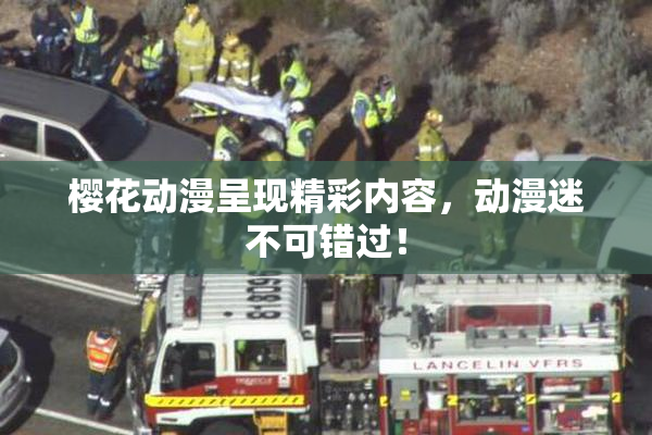 樱花动漫呈现精彩内容，动漫迷不可错过！