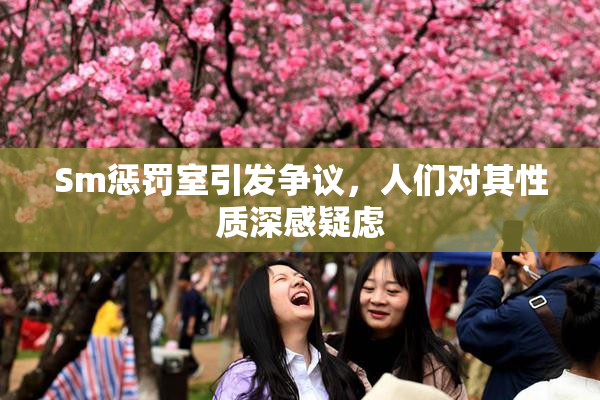 Sm惩罚室引发争议，人们对其性质深感疑虑