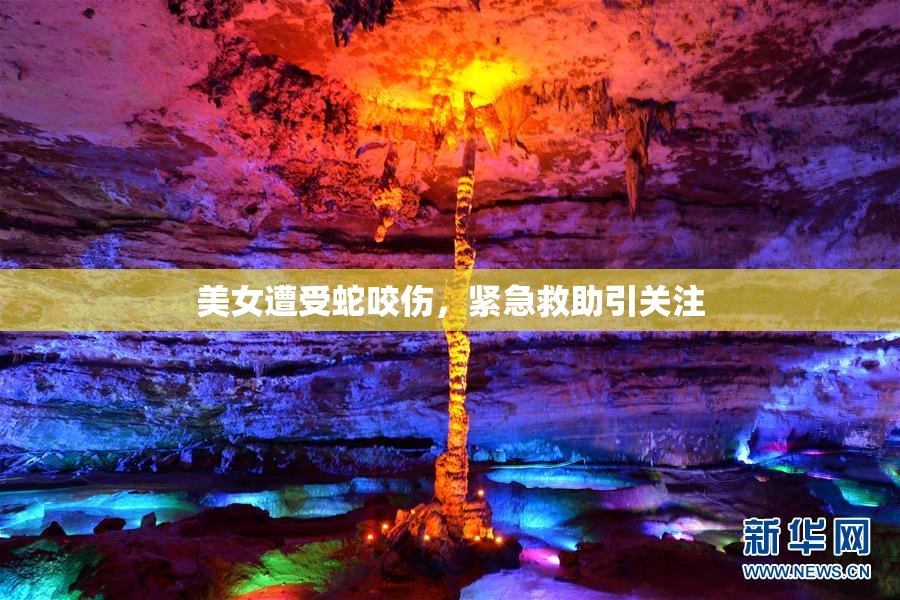 美女遭受蛇咬伤，紧急救助引关注