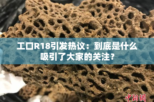 工口R18引发热议：到底是什么吸引了大家的关注？
