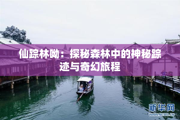 仙踪林呦：探秘森林中的神秘踪迹与奇幻旅程