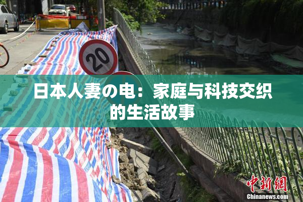 日本人妻の电：家庭与科技交织的生活故事