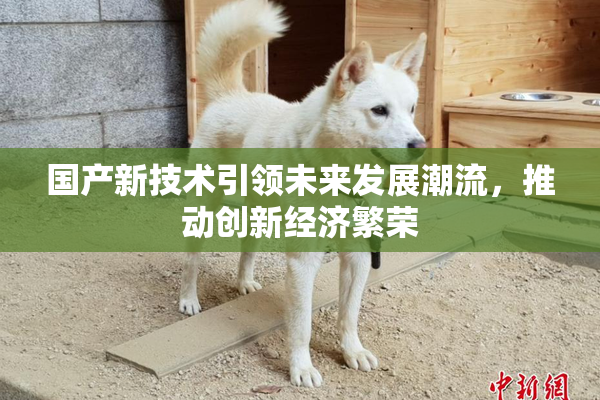 国产新技术引领未来发展潮流，推动创新经济繁荣