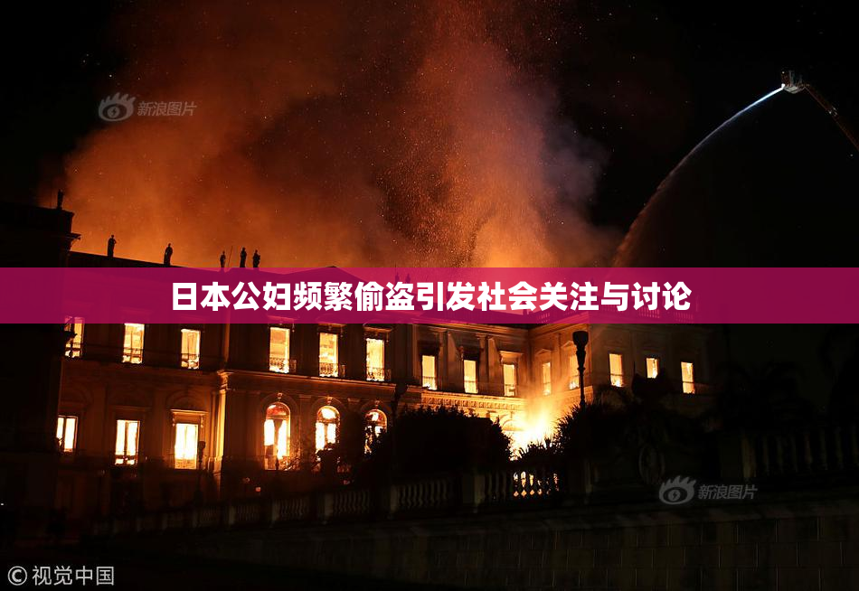 日本公妇频繁偷盗引发社会关注与讨论
