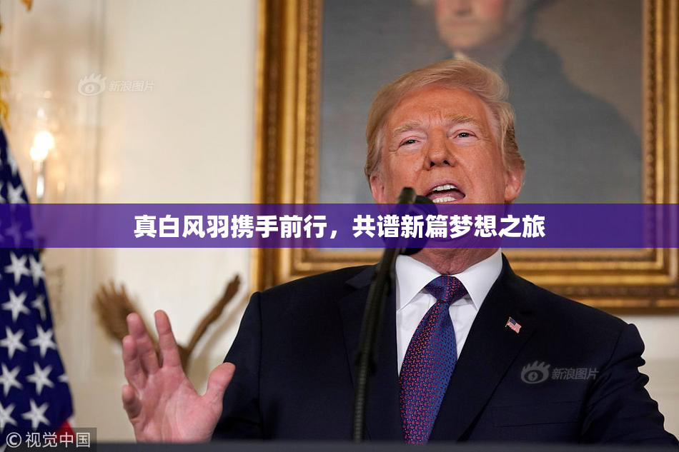 真白风羽携手前行，共谱新篇梦想之旅