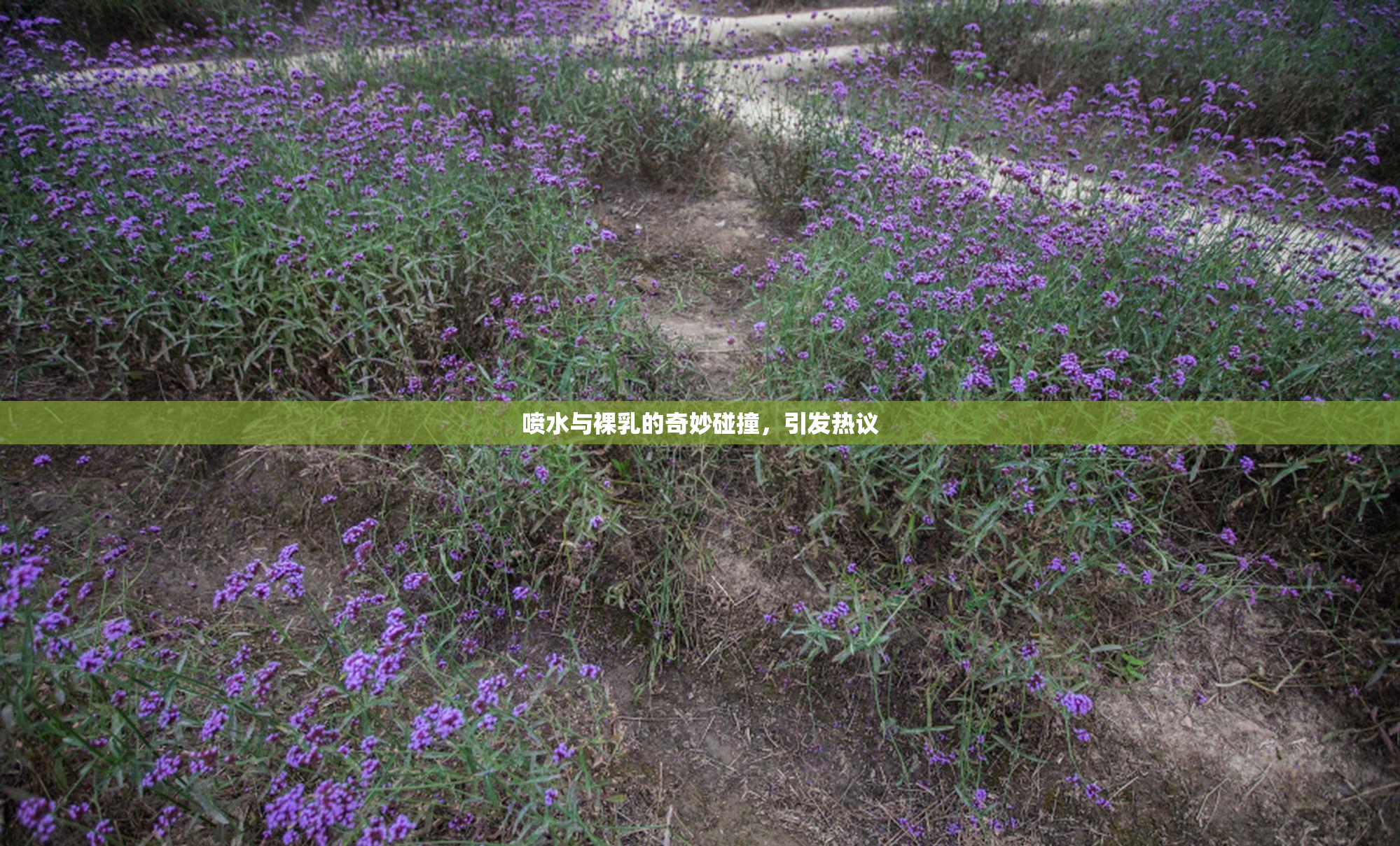 喷水与裸乳的奇妙碰撞，引发热议