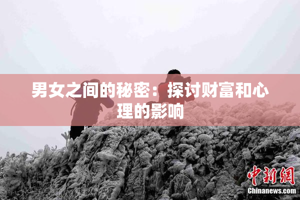 男女之间的秘密：探讨财富和心理的影响