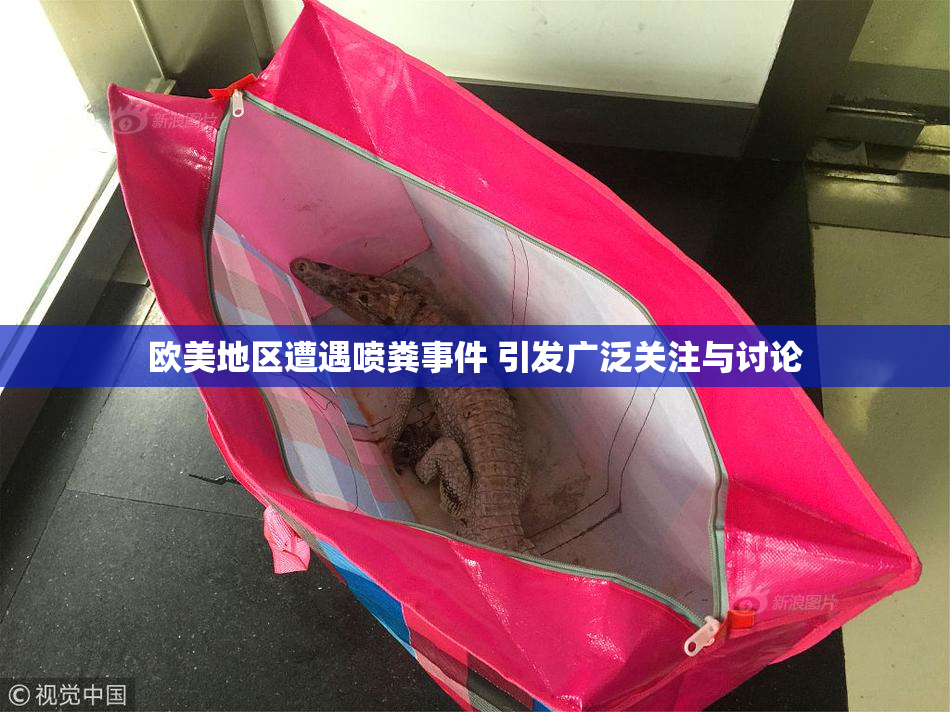 欧美地区遭遇喷粪事件 引发广泛关注与讨论