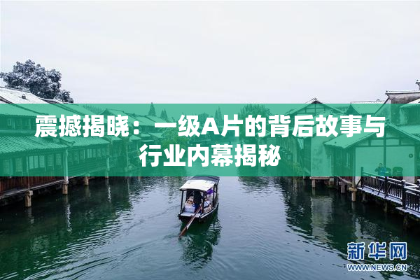 震撼揭晓：一级A片的背后故事与行业内幕揭秘