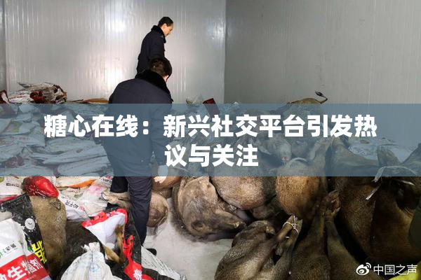糖心在线：新兴社交平台引发热议与关注