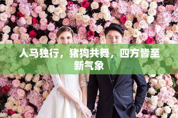 人马独行，猪狗共舞，四方皆至新气象
