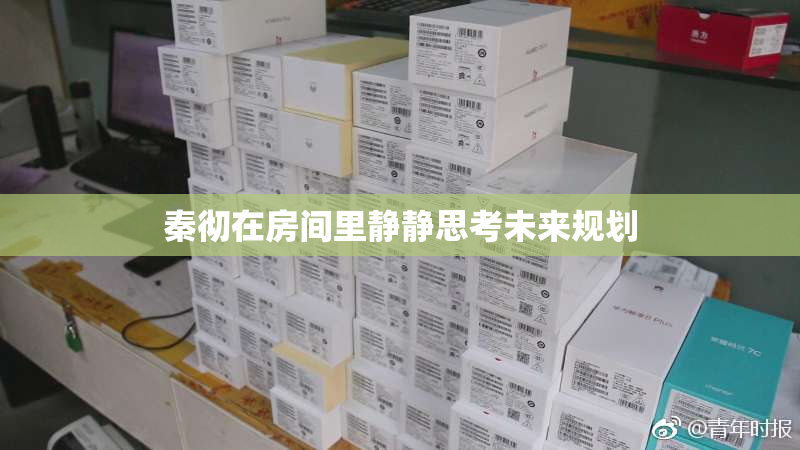 秦彻在房间里静静思考未来规划