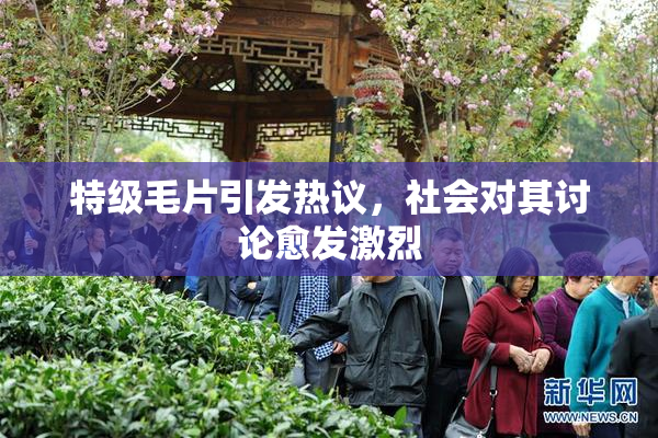 特级毛片引发热议，社会对其讨论愈发激烈
