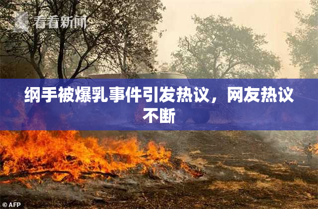 纲手被爆乳事件引发热议，网友热议不断