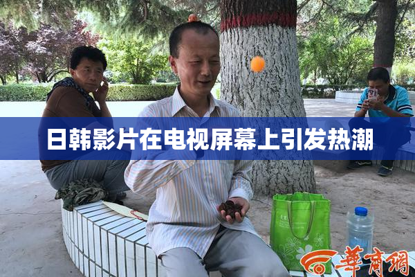 日韩影片在电视屏幕上引发热潮