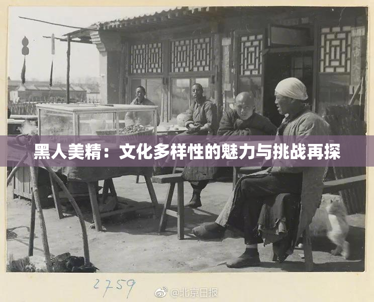 黑人美精：文化多样性的魅力与挑战再探