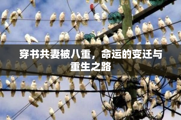 穿书共妻被八重，命运的变迁与重生之路