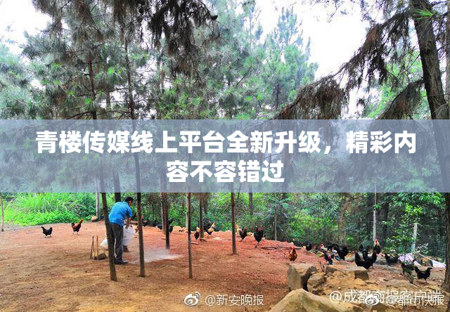 青楼传媒线上平台全新升级，精彩内容不容错过
