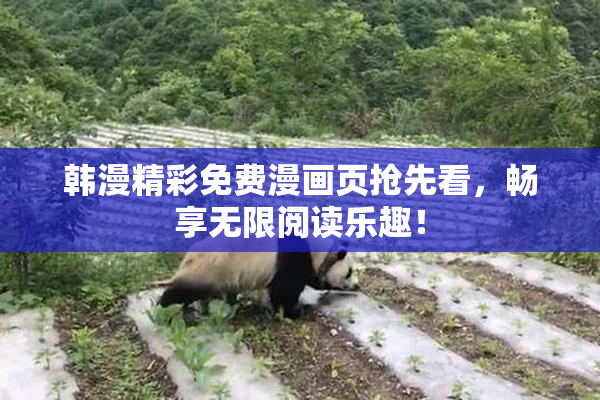 韩漫精彩免费漫画页抢先看，畅享无限阅读乐趣！