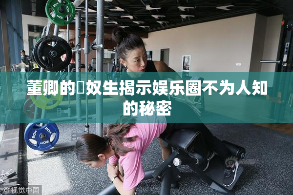 董卿的婬奴生揭示娱乐圈不为人知的秘密