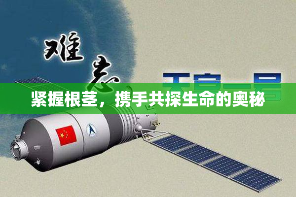 紧握根茎，携手共探生命的奥秘