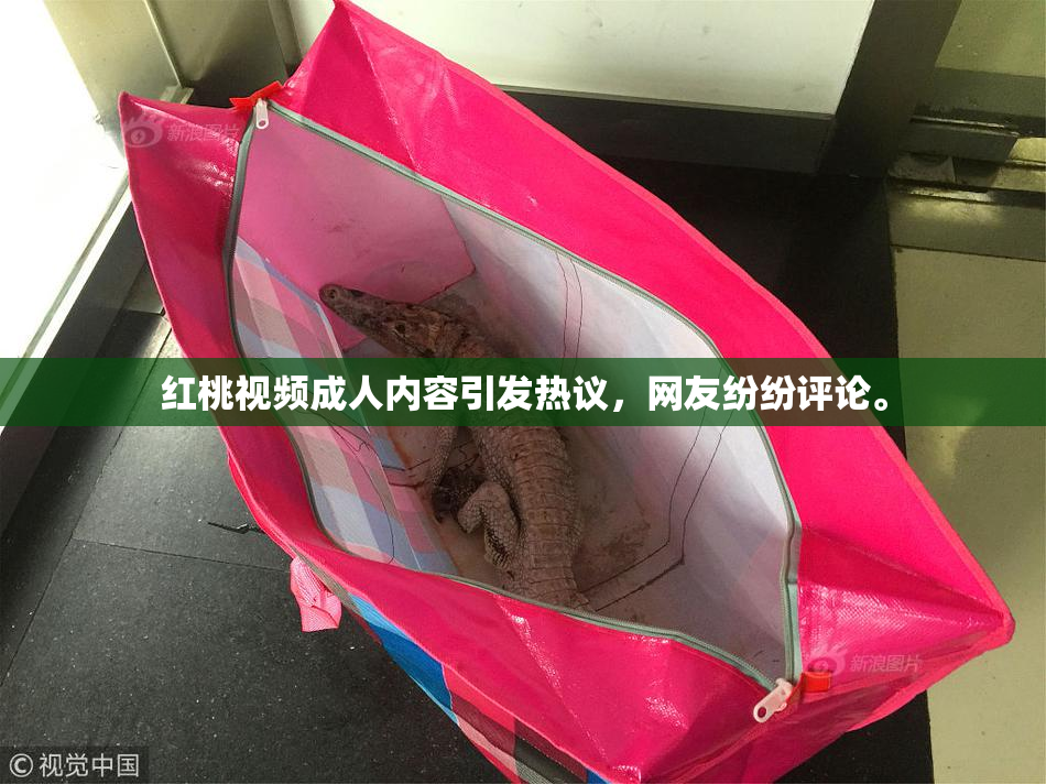 红桃视频成人内容引发热议，网友纷纷评论。