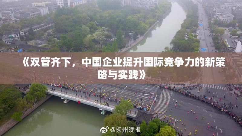 《双管齐下，中国企业提升国际竞争力的新策略与实践》