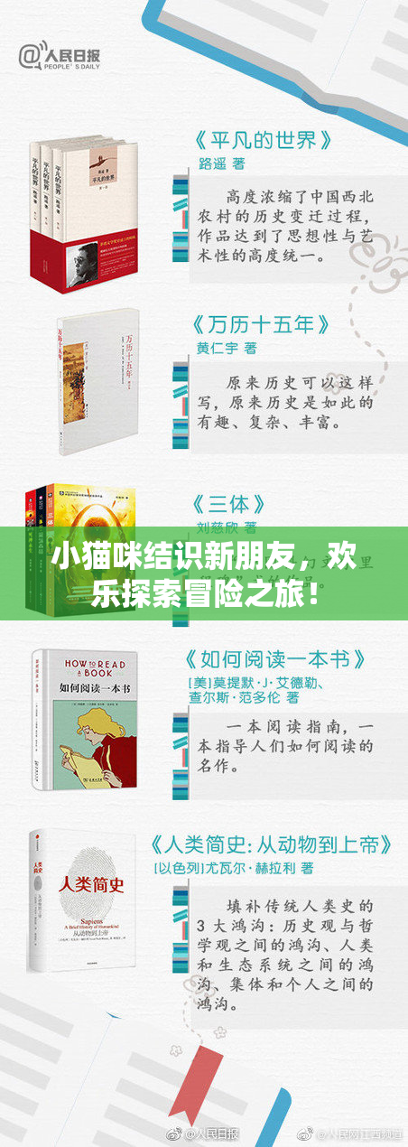 小猫咪结识新朋友，欢乐探索冒险之旅！