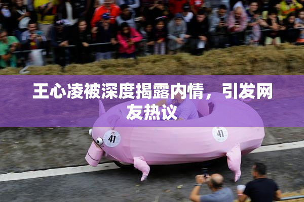 王心凌被深度揭露内情，引发网友热议
