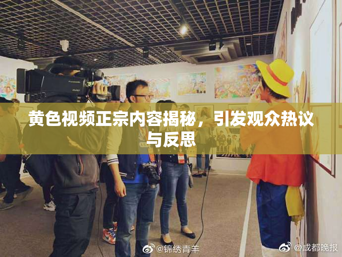 黄色视频正宗内容揭秘，引发观众热议与反思