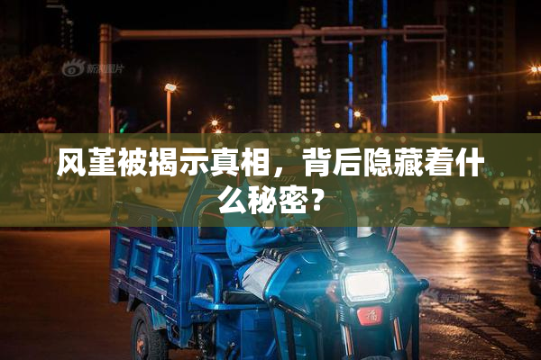 风堇被揭示真相，背后隐藏着什么秘密？