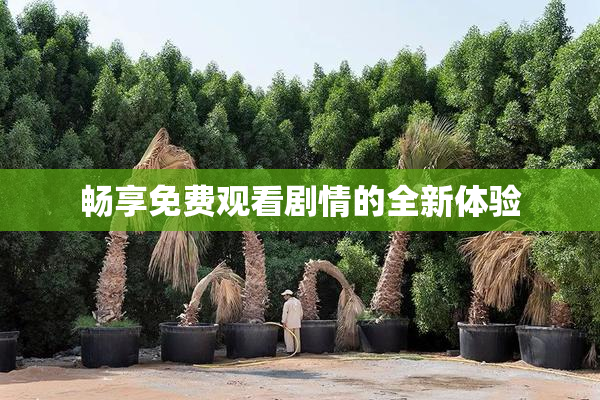 畅享免费观看剧情的全新体验