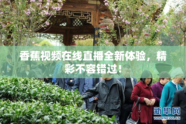 香蕉视频在线直播全新体验，精彩不容错过！