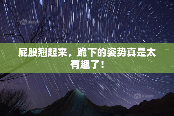 屁股翘起来，跪下的姿势真是太有趣了！