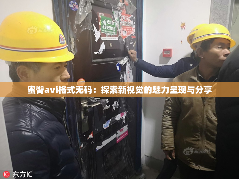 蜜臀avi格式无码：探索新视觉的魅力呈现与分享