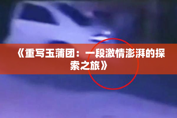 《重写玉蒲团：一段激情澎湃的探索之旅》