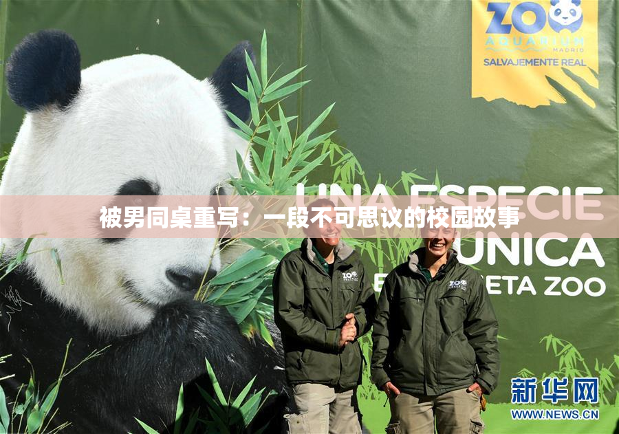 被男同桌重写：一段不可思议的校园故事