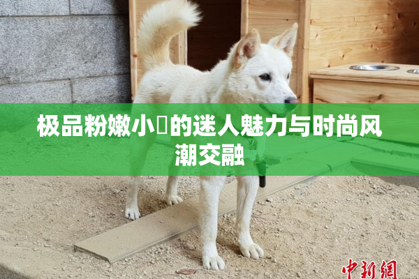 极品粉嫩小泬的迷人魅力与时尚风潮交融