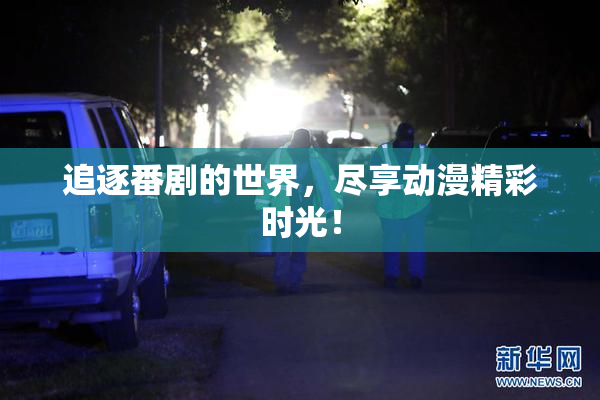 追逐番剧的世界，尽享动漫精彩时光！
