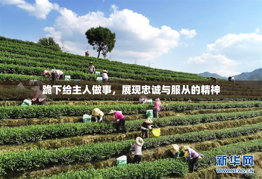 跪下给主人做事，展现忠诚与服从的精神