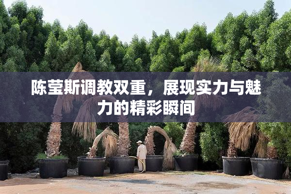 陈莹斯调教双重，展现实力与魅力的精彩瞬间