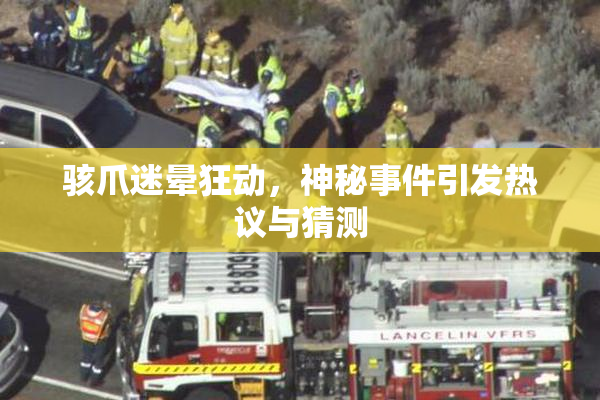 骇爪迷晕狂动，神秘事件引发热议与猜测