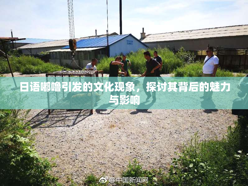 日语嘟噜引发的文化现象，探讨其背后的魅力与影响