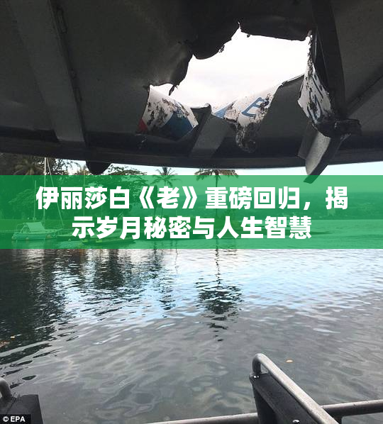 伊丽莎白《老》重磅回归，揭示岁月秘密与人生智慧